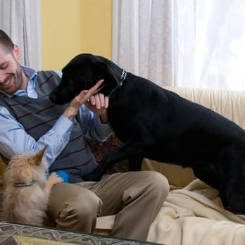 Critter Car - Pet Sitting Near Me - Portland, Oregon Critter Car - Pet Sitting Near Me - Portland, Oregon