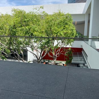 Hammer Museum - Museums Near Me - Los Angeles, California Hammer Museum - Museums Near Me - Los Angeles, California