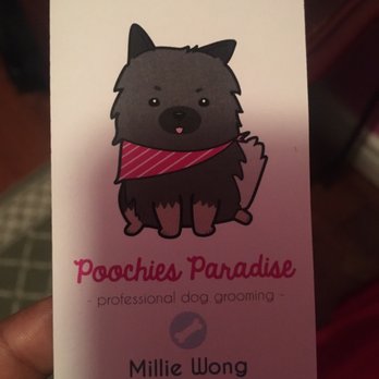 Poochies Paradise Spa - Pet Sitting Near Me - Markham, Ontario Poochies Paradise Spa - Pet Sitting Near Me - Markham, Ontario