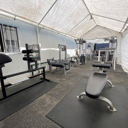 Sirens and Titans Fitness