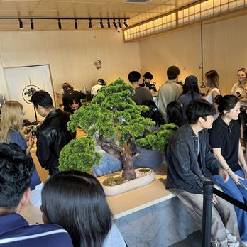 Matsu Matcha - So popular - Coffee & Tea Near Me - Los Angeles, California Matsu Matcha - So popular - Coffee & Tea Near Me - Los Angeles, California