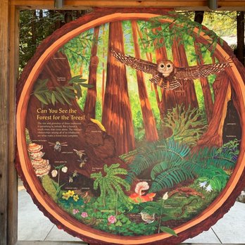 Pfeiffer Big Sur State Park - Signage by the visitor - Parks Near Me Pfeiffer Big Sur State Park - Signage by the visitor - Parks Near Me