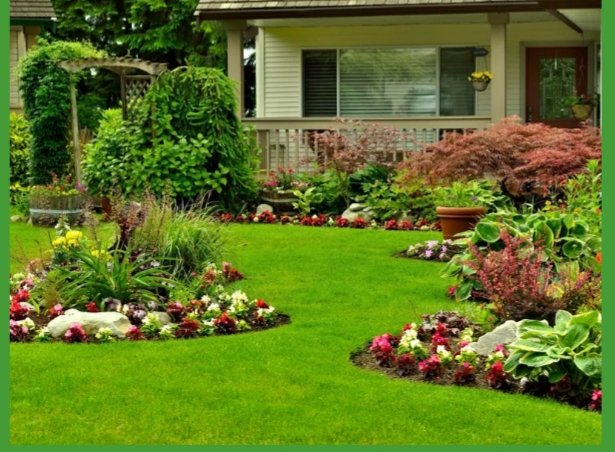 ECO Lawn and Tree Care Services - tree service in Spokane, WA