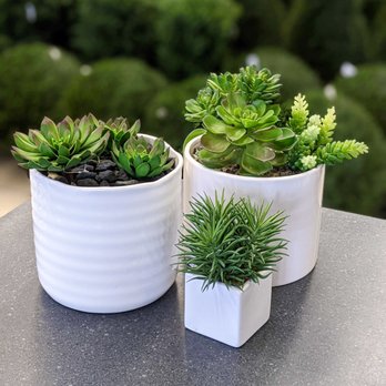 Silk Plant Warehouse - Faux is the way to go! We carry an abundance of artificial succulents. - Home Decor Near Me - Calgary, Alberta Silk Plant Warehouse - Faux is the way to go! We carry an abundance of artificial succulents. - Home Decor Near Me - Calgary, Alberta