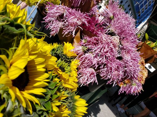 St. Petersburg Saturday Morning Market by null