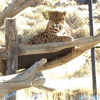 Animal Ark - Zoos Near Me - Reno, Nevada