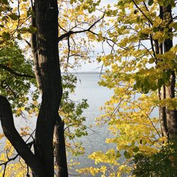 UW-Madison Lakeshore Nature Preserve