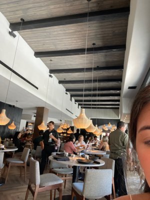 Talavera Cocina Mexicana by null