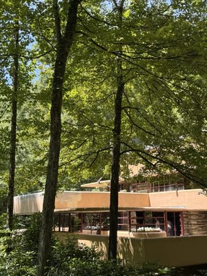 Fallingwater by null