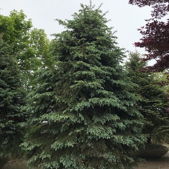 Warren's Nursery - Nurseries & Gardening Near Me - Water Mill, New York