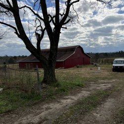 Twin Brothers Painting - Barn painted