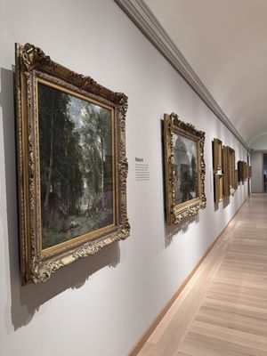 Museum of Fine Arts, Boston by null