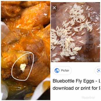 Fire Wings - Fairfield - Fly eggs in my food - Chicken Wings Near Me - Fairfield, California Fire Wings - Fairfield - Fly eggs in my food - Chicken Wings Near Me - Fairfield, California