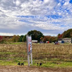 Wicked Pumpkin Orchards - Sign