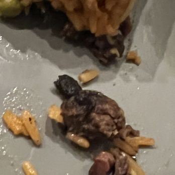 Pablito's Tacos - Burnt meat - Peruvian Near Me - Burbank, California Pablito's Tacos - Burnt meat - Peruvian Near Me - Burbank, California