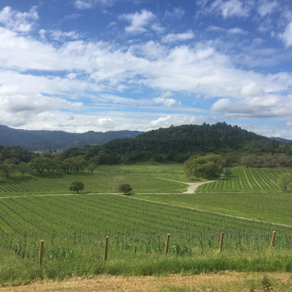 Far Niente - This view! - Wineries Near Me - Oakville, California