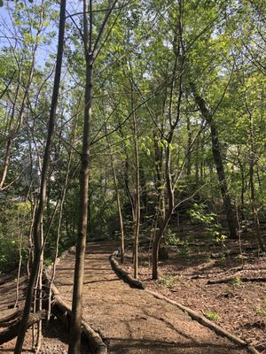 Hallett Nature Sanctuary by null