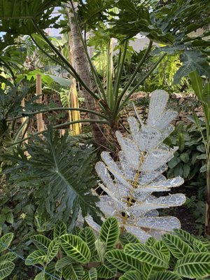 Greater Des Moines Botanical Garden by null