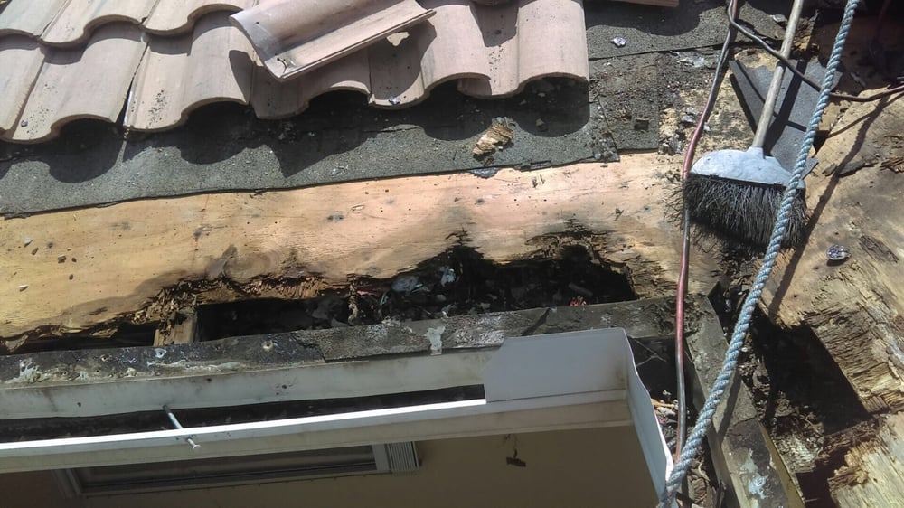 Slide of Aegis Roofing Enterprise