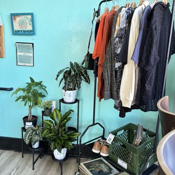 Mestiza Coffeehouse - Plant and vintage vinyl and clothes for sale - Bakeries Near Me - Ontario, California Mestiza Coffeehouse - Plant and vintage vinyl and clothes for sale - Bakeries Near Me - Ontario, California