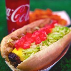 Doggie Burger - Super Doggie Burger= 8oz Angus Meat, American cheese, onions, lettuce, tomatoes, mayo, ketchup, mustard.