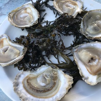 Prat-Ar Coum - Seafood Markets Near Me - Lannilis, 29