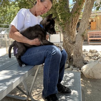 Wolf Mountain Sanctuary - Tanya and stormy - Animal Shelters Near Me - Lucerne Valley, California Wolf Mountain Sanctuary - Tanya and stormy - Animal Shelters Near Me - Lucerne Valley, California