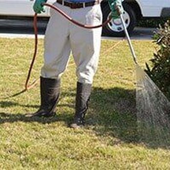 Killeen Pest Control - Pest Control Near Me - Killeen, Texas Killeen Pest Control - Pest Control Near Me - Killeen, Texas