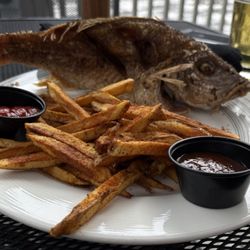 Provost - Red Snapper