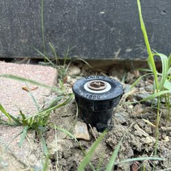 Altitude Landscaping and Seamless Gutter - This gets tripped on everytime we walk by.