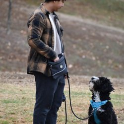 Sally Said So Professional Dog Training