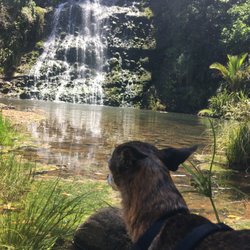 Enjoying the beautiful New Zealand scenery!