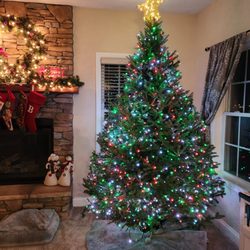 Wolfe Landscaping Nursery - 2025 Xmas Tree from Wolfe Nursery