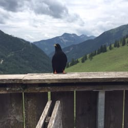 Mariandlalm - Terrasse
