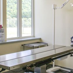 Wellsboro Small Animal Hospital, PC