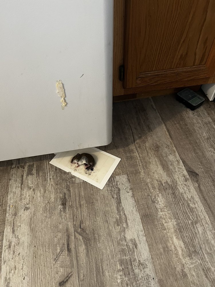 APARTMENTS NEAR CAMPUS Updated September 2024 17 Photos & 38