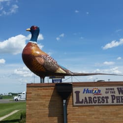 The Plains