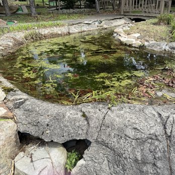Caddie Shak - Mosquito breeding ground - Mini Golf Near Me - Donegal, Pennsylvania