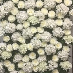 Pretty Petals - Flowers wall for hire for special occasions call us on 82727778 for a quote.