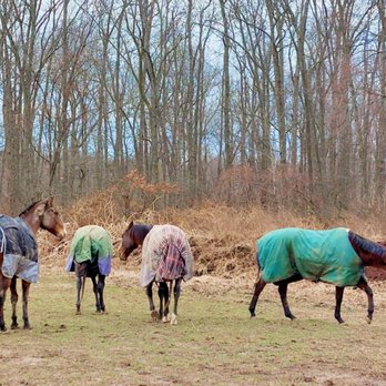 Emberwood Equestrian - Horseback Riding Near Me - Plain City, Ohio