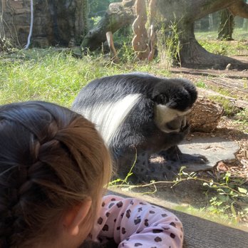 Caldwell Zoo - Zoos Near Me - Tyler, Texas