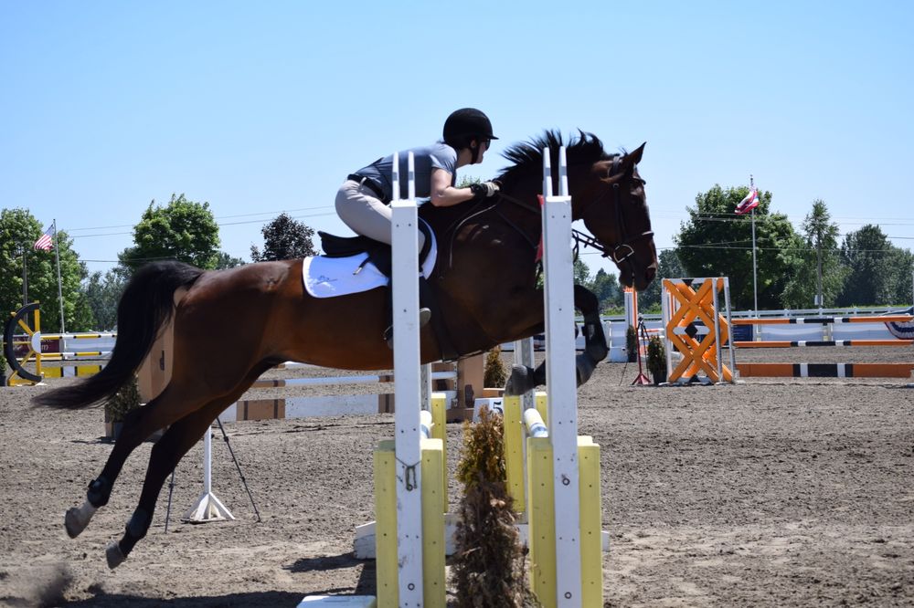 Westside Stables - equestrian in Newberg, OR