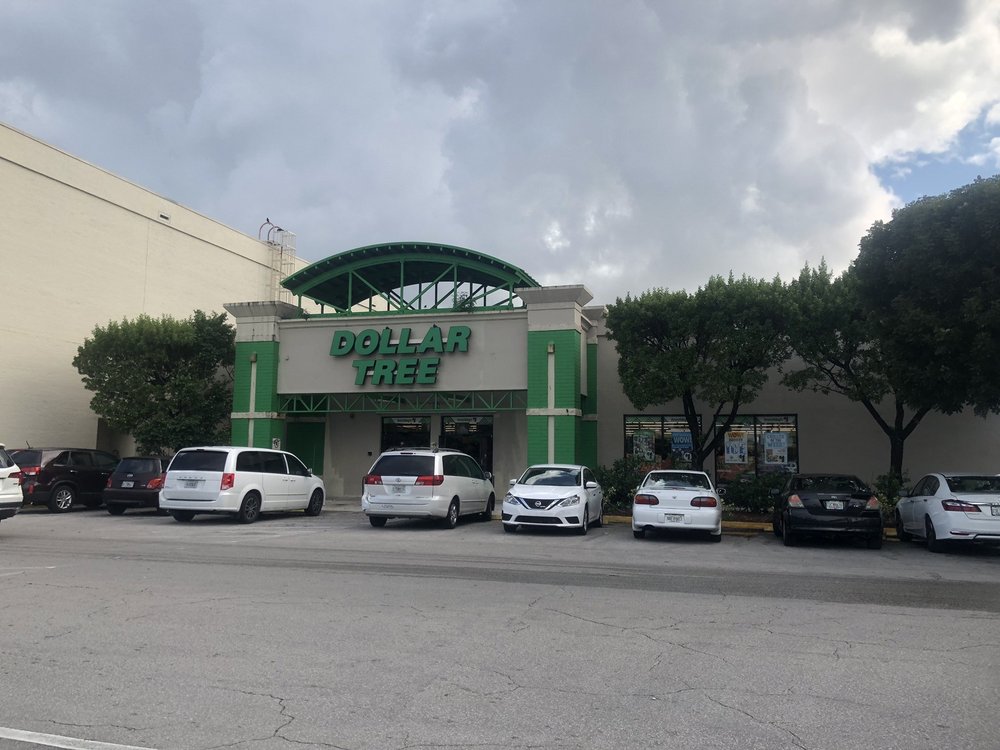 DOLLAR TREE Updated September 2024 596 W 49th St, Hialeah, Florida