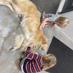 Precision Mechanics - Our daughters with friendly Echo the dog.
