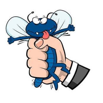 All Statewide Termite & Pest Control - Pest Control Near Me - Gilbert, Arizona All Statewide Termite & Pest Control - Pest Control Near Me - Gilbert, Arizona