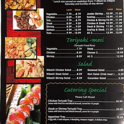 Japanese Express - Hibachi plate, Teriyaki bowl and salads