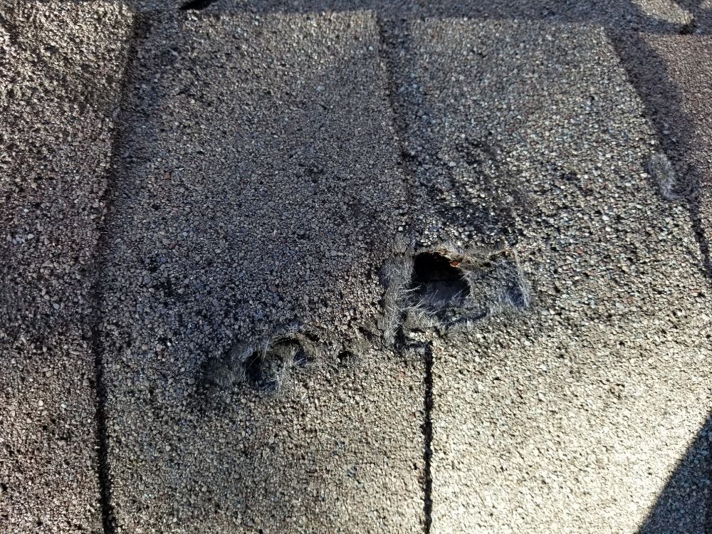 Slide of One Source Roofing & Restorations