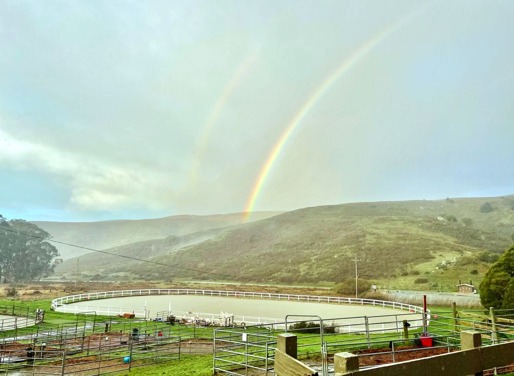 Miwok Equestrian Center - equestrian in Mill Valley, CA