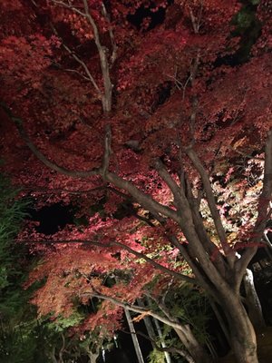 ROKU KYOTO, LXR Hotels & Resorts by null