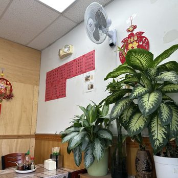 Hand Pull Noodle and Dumpling House - Chinese Near Me - Brooklyn, New York Hand Pull Noodle and Dumpling House - Chinese Near Me - Brooklyn, New York